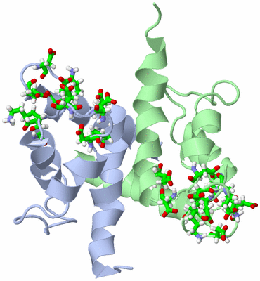 Image NMR Structure - model 1, sites