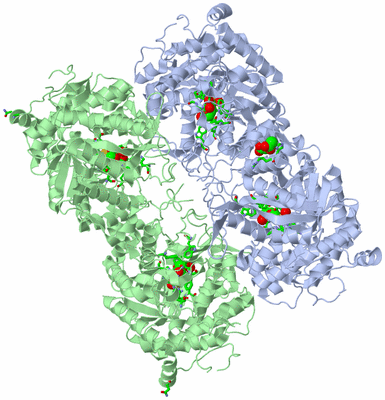 Image Biol. Unit 1 - sites