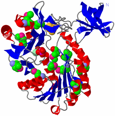 Image Asym./Biol. Unit