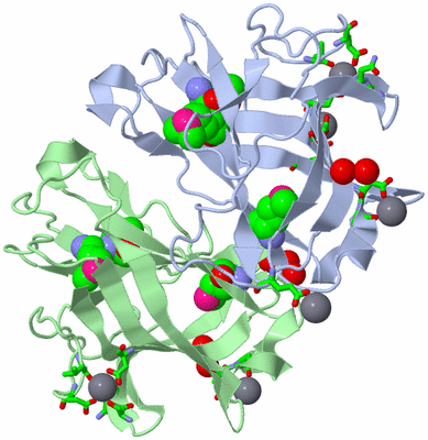 Image Asym./Biol. Unit - sites