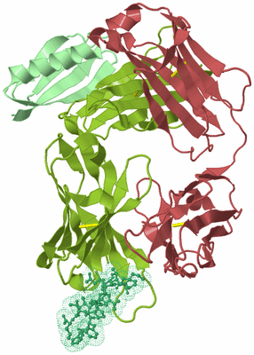 Image Biological Unit 2