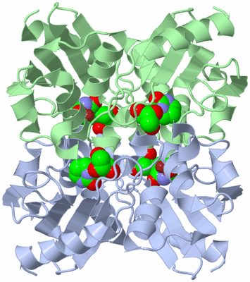 Image Biological Unit 1