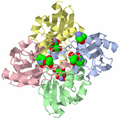 Image Asym./Biol. Unit