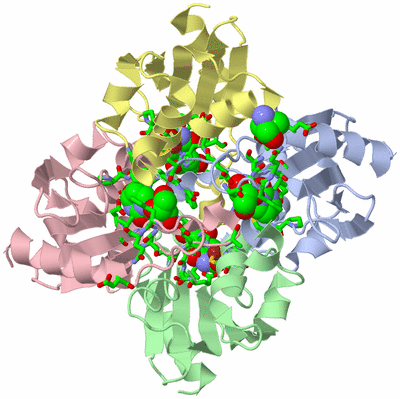 Image Asym./Biol. Unit - sites