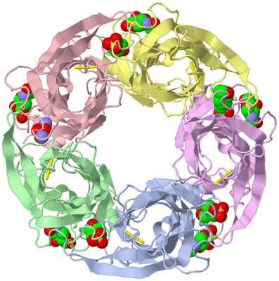 Image Biological Unit 1