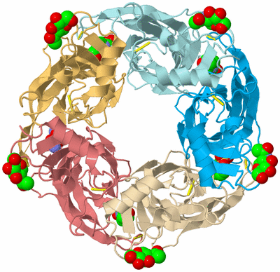 Image Biological Unit 2