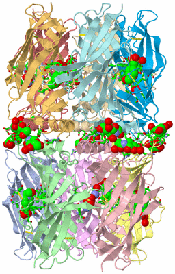 Image Asym. Unit - sites