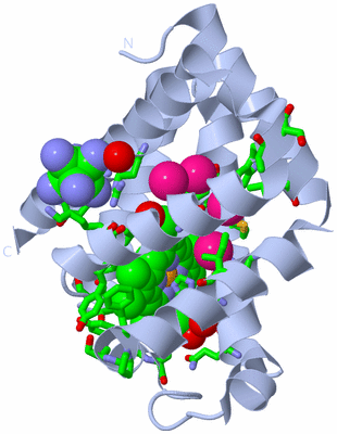 Image Biol. Unit 1 - sites