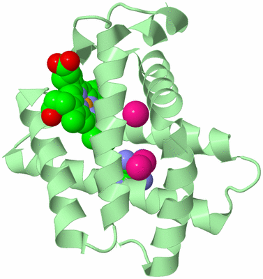 Image Biological Unit 2