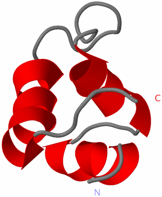 Image NMR Structure - model 1