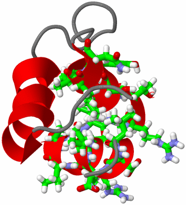 Image NMR Structure - model 1, sites