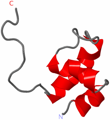 Image NMR Structure - model 1