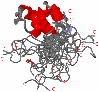 Image NMR Structure - all models