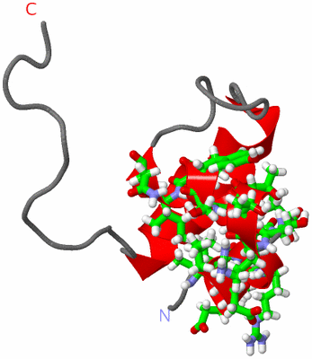 Image NMR Structure - model 1, sites
