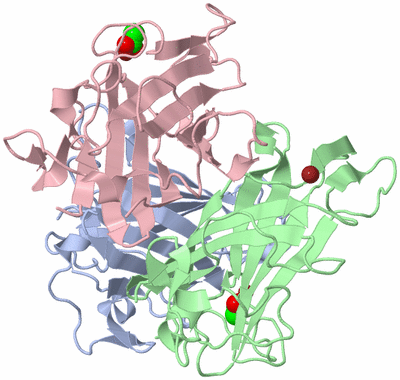 Image Asym./Biol. Unit