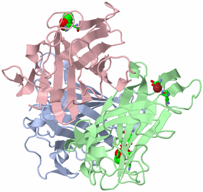 Image Asym./Biol. Unit - sites