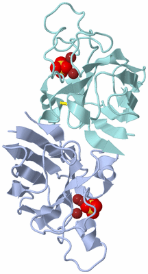 Image Biological Unit 1