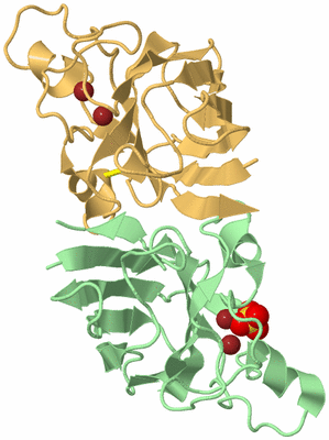 Image Biological Unit 2