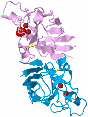 Image Biological Unit 5