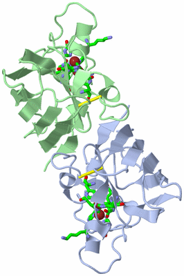 Image Biol. Unit 1 - sites