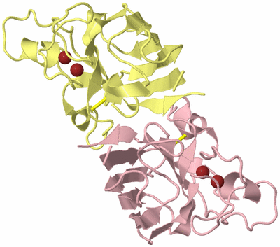 Image Biological Unit 2