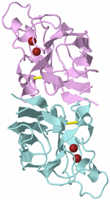 Image Biological Unit 3