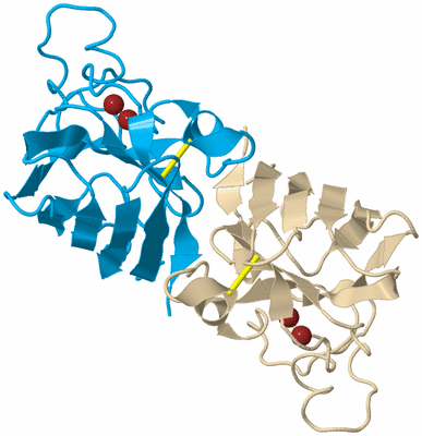 Image Biological Unit 5