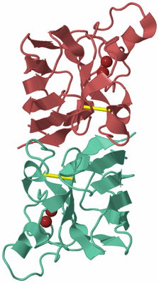 Image Biological Unit 6