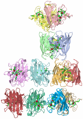 Image Asym. Unit - sites