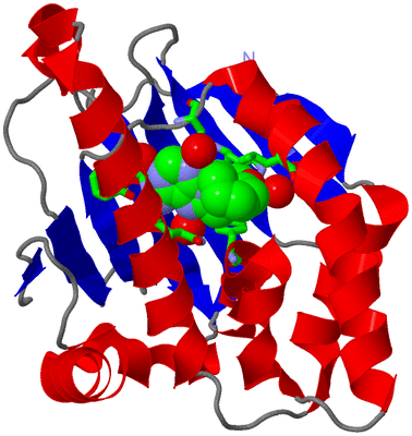 Image Asym./Biol. Unit - sites