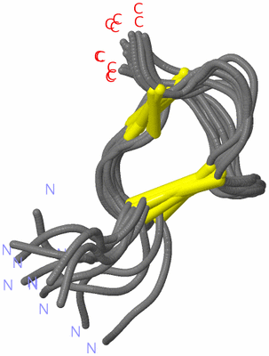 Image NMR Structure - all models