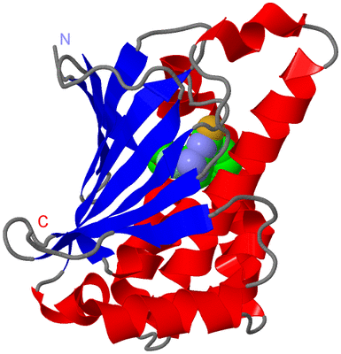 Image Asym./Biol. Unit