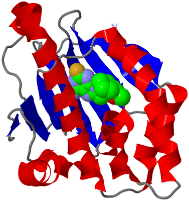 Image Asym./Biol. Unit