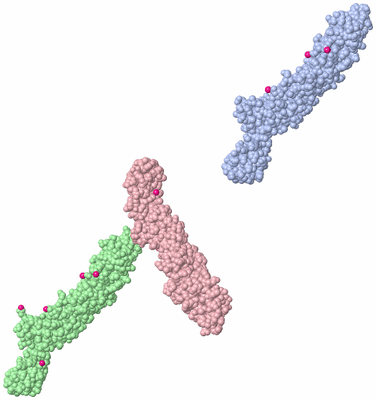 Image Asymmetric Unit