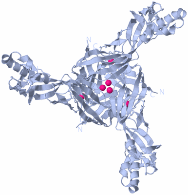 Image Biological Unit 1