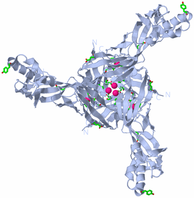 Image Biol. Unit 1 - sites