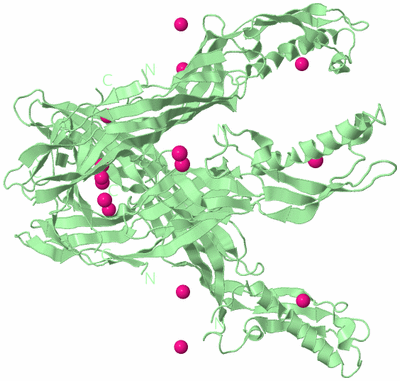 Image Biological Unit 2