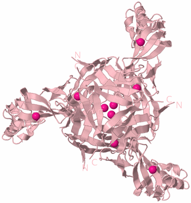Image Biological Unit 3