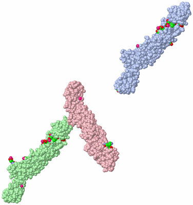 Image Asym. Unit - sites