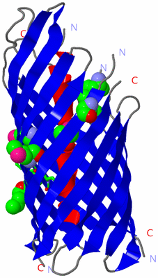 Image Asym./Biol. Unit - sites