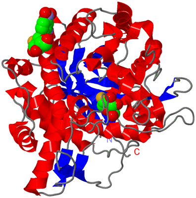 Image Asymmetric Unit
