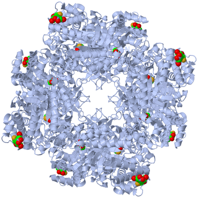 Image Biological Unit 1