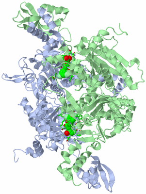 Image Asym./Biol. Unit - sites