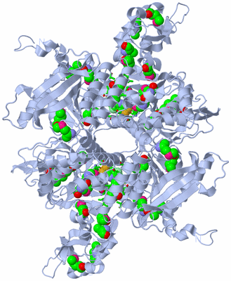 Image Biol. Unit 1 - sites