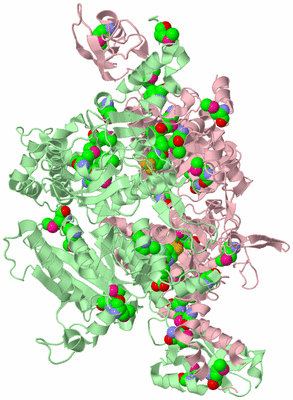 Image Biological Unit 2