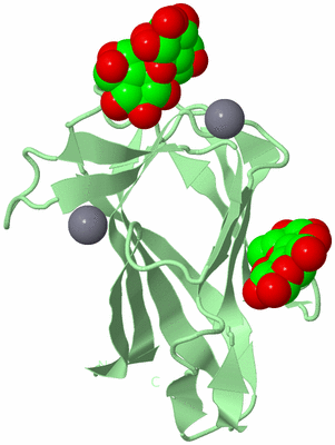 Image Biological Unit 2