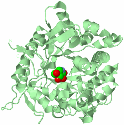 Image Biological Unit 2