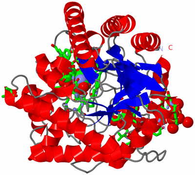 Image Asym./Biol. Unit - sites