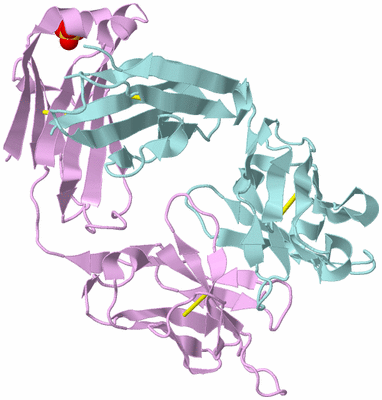 Image Biological Unit 1