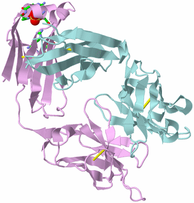 Image Biol. Unit 1 - sites